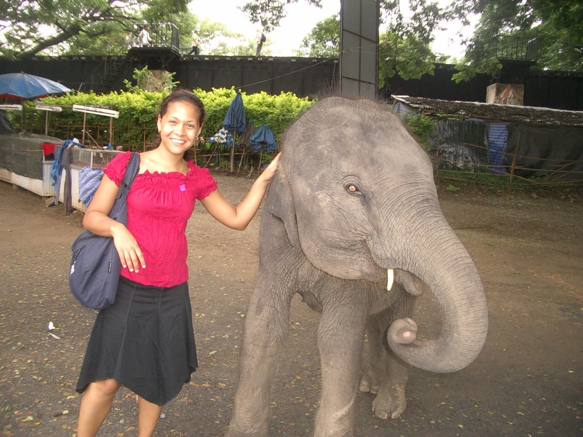 Thailand — Baby elephant