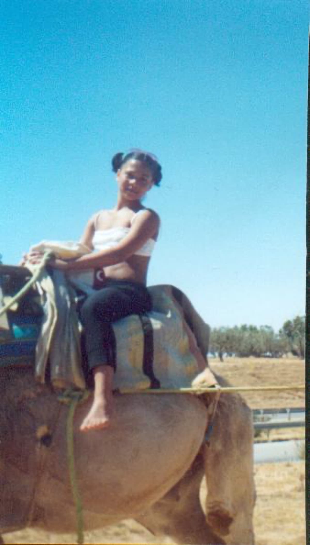 Tunisia — Camel ride